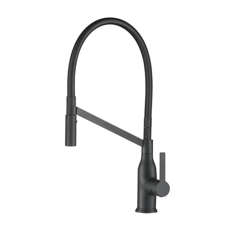 Stufurhome Vallant Kitchen Faucet w/ Spray Head Gooseneck Single Lever Mixer in Matte Black